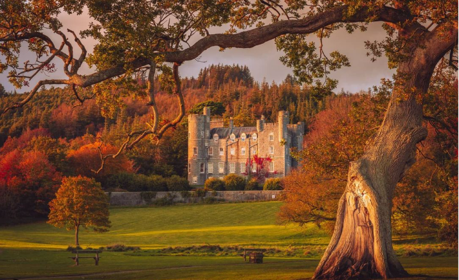 Autumn in Castlewellan Forest Park
